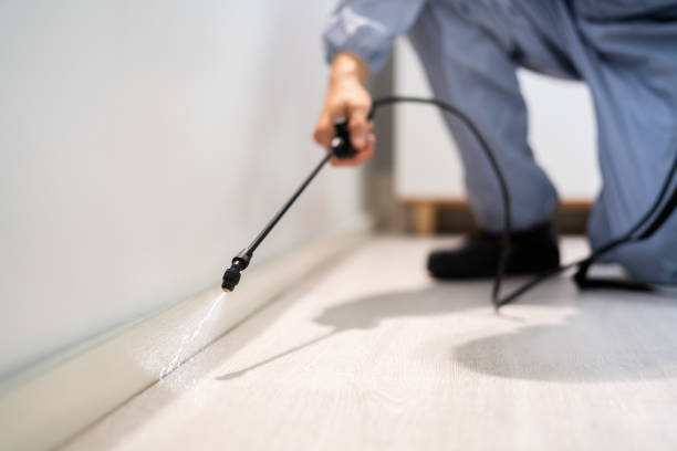 Best Pest Prevention Services  in Marcellus, MI