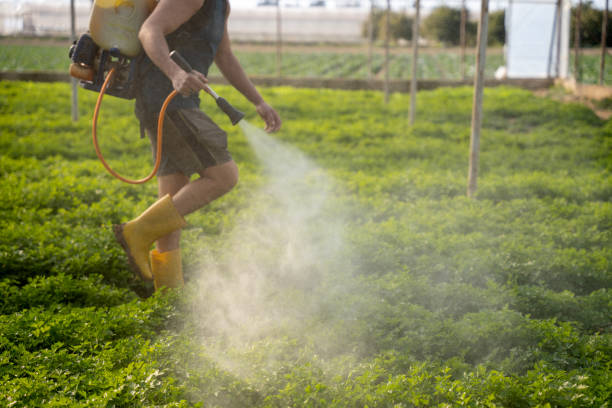 Best Best Pest Control Companies  in Marcellus, MI