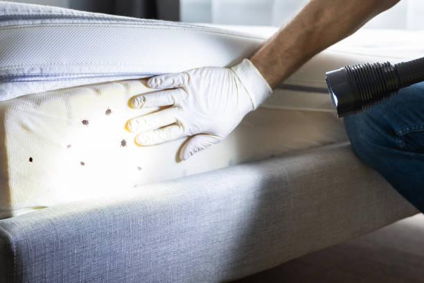 Best Pest Inspection Near Me  in Marcellus, MI