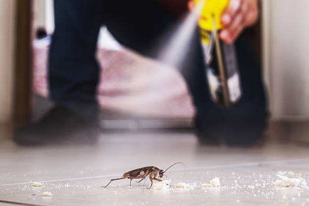Best Residential Pest Control  in Marcellus, MI