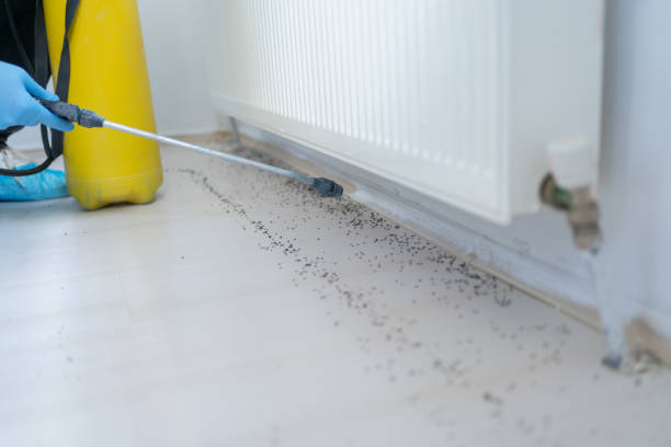 Best Pest Inspection Near Me  in Marcellus, MI
